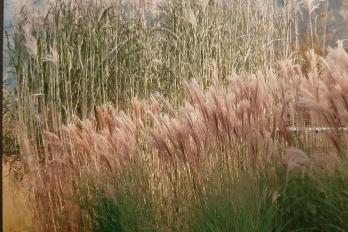 Herbstgeflüster Herbstgeflüster