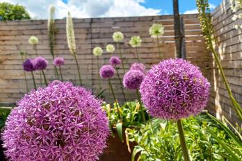 Hinweis schließen Hinweis schließen