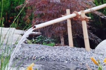 Lebensraum Wasser Lebensraum Wasser