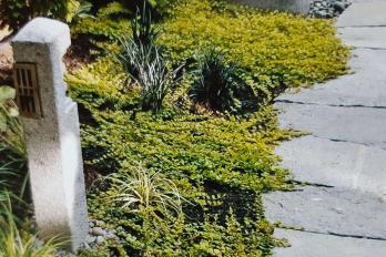 Willkommensbereich Willkommensbereich