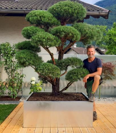 Wolfgang Kaufmann Wolfgang Kaufmann